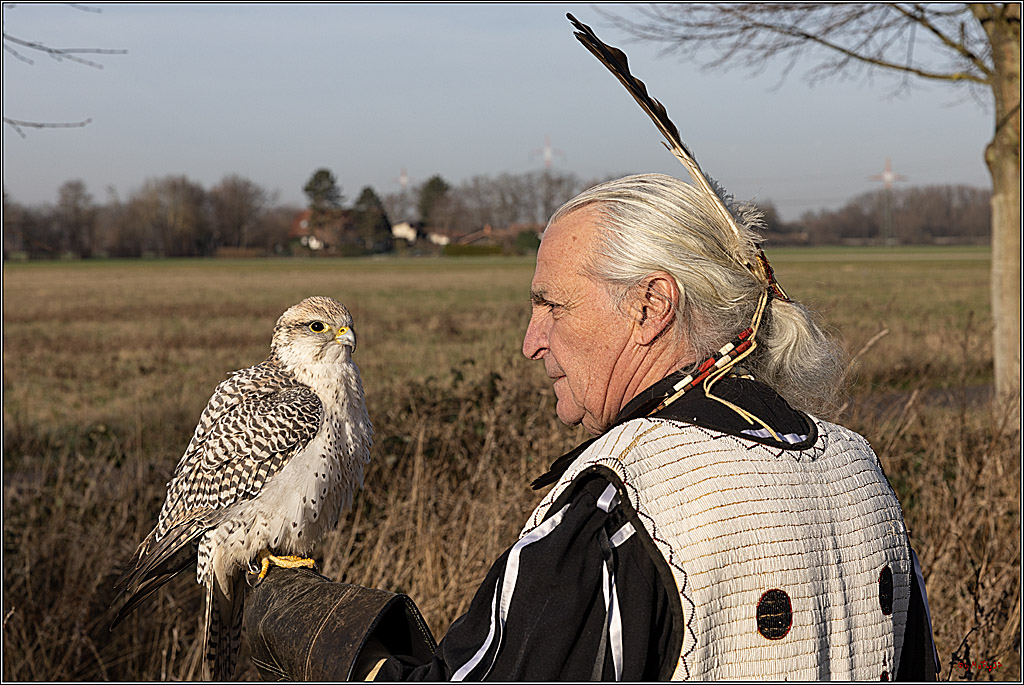 Cheyenne-Halbblut Hunting Wolf in der Falknerei Pierre Schmidt; Gymnich, 09.02.2023